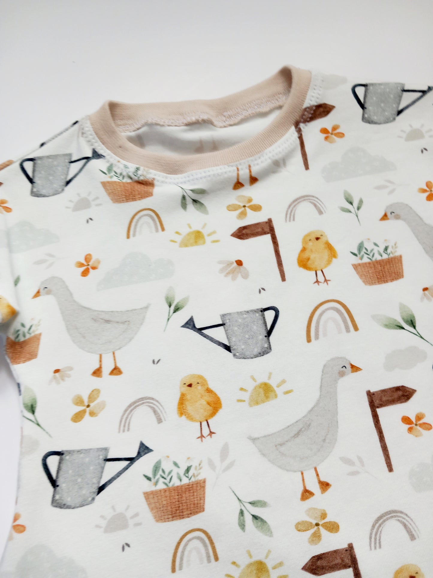 Farm ducks dress