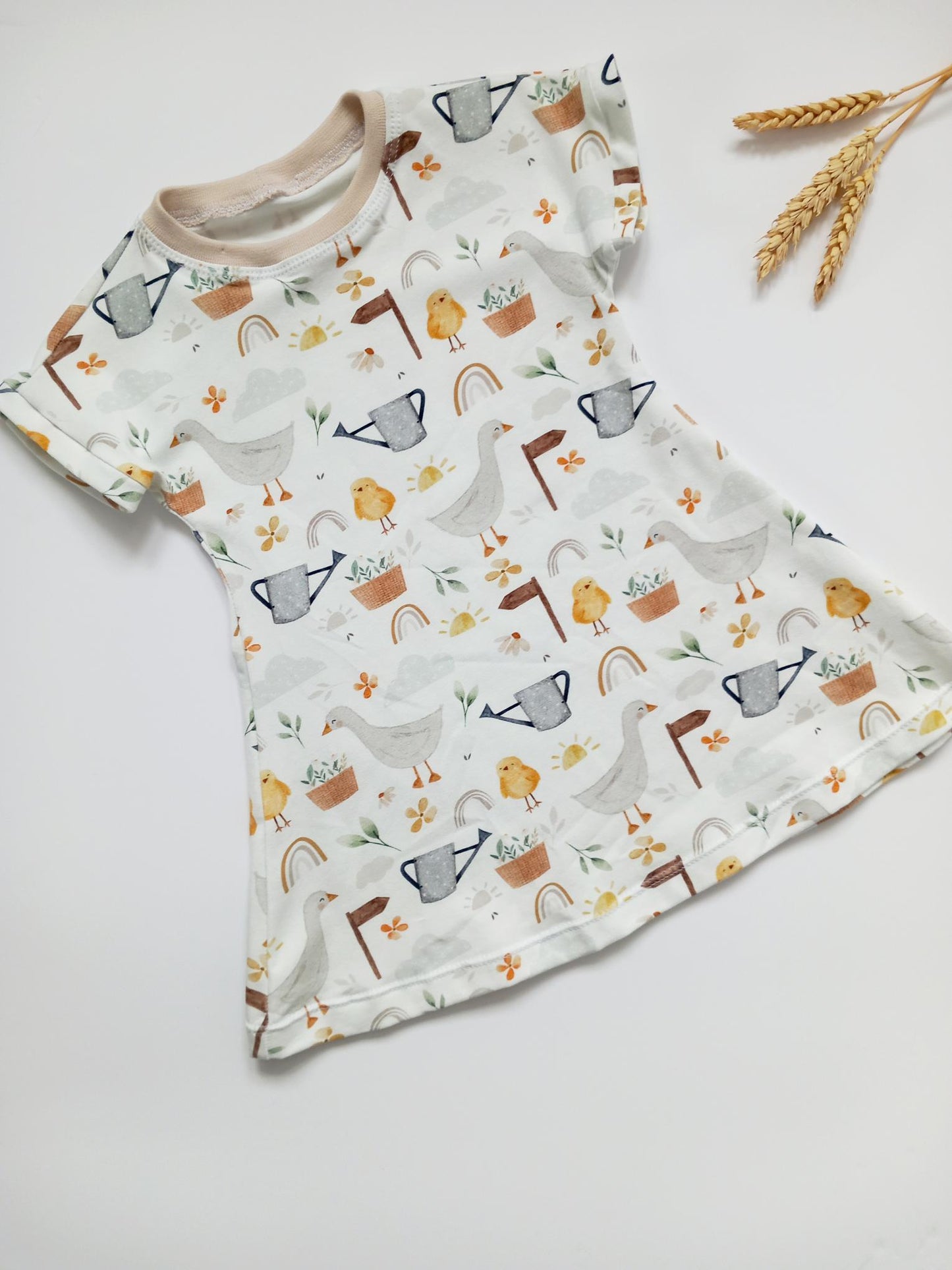 Farm ducks dress