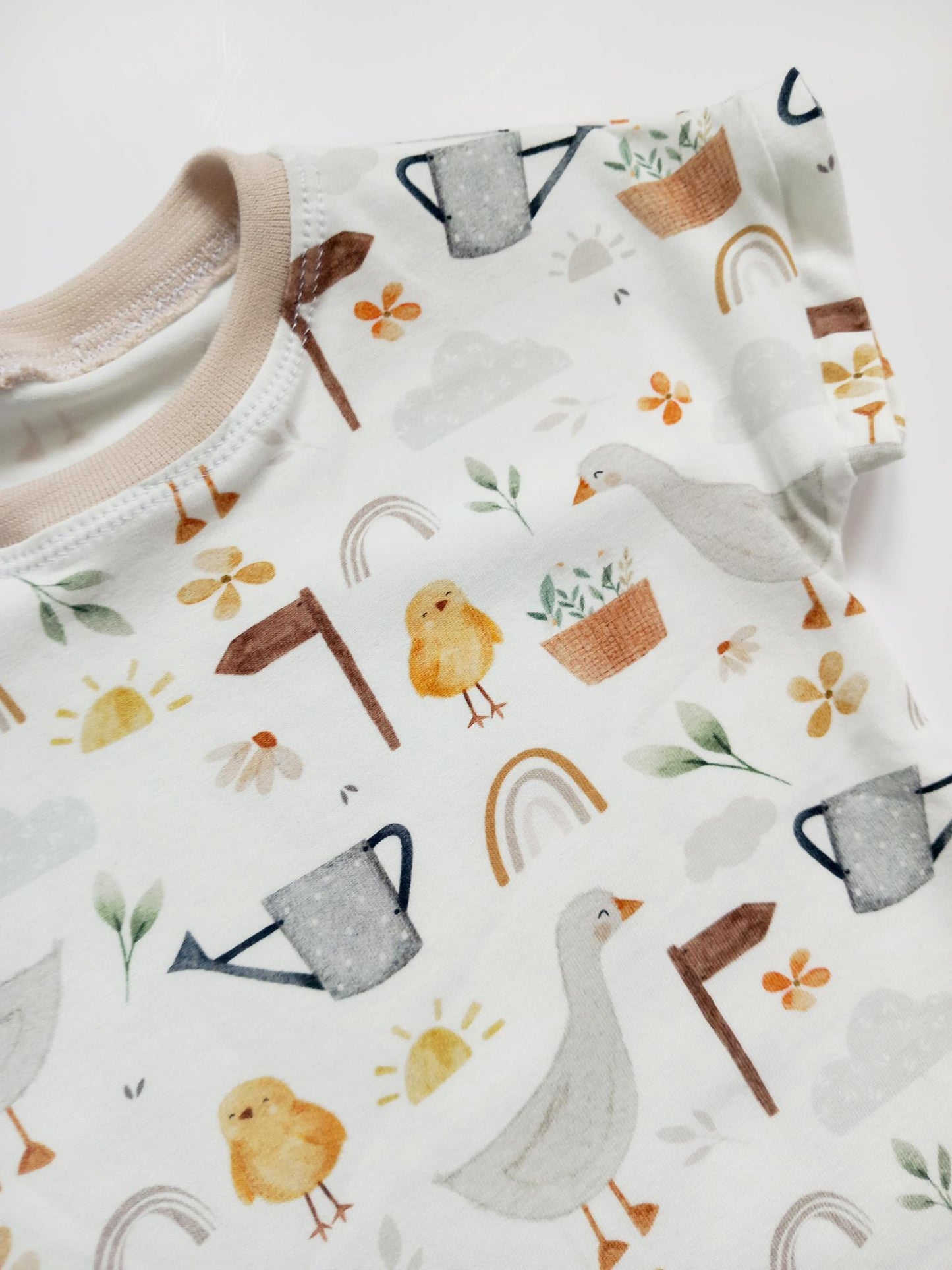 Farm ducks dress