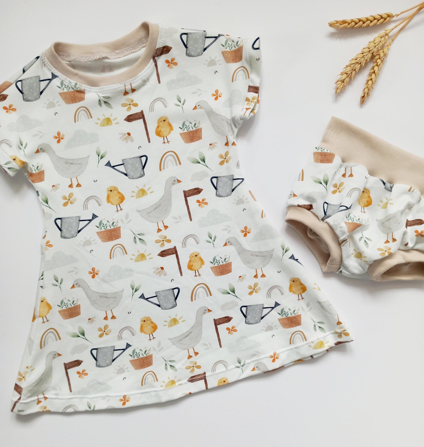 Farm ducks dress